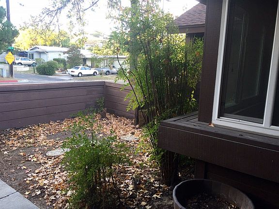 5th image of 1037 Pine Dr