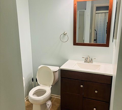 Lower level bathroom