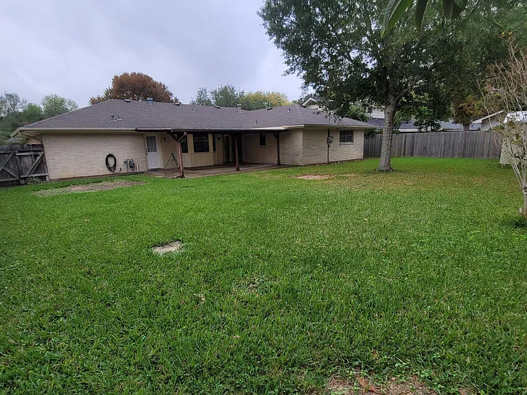 back yard