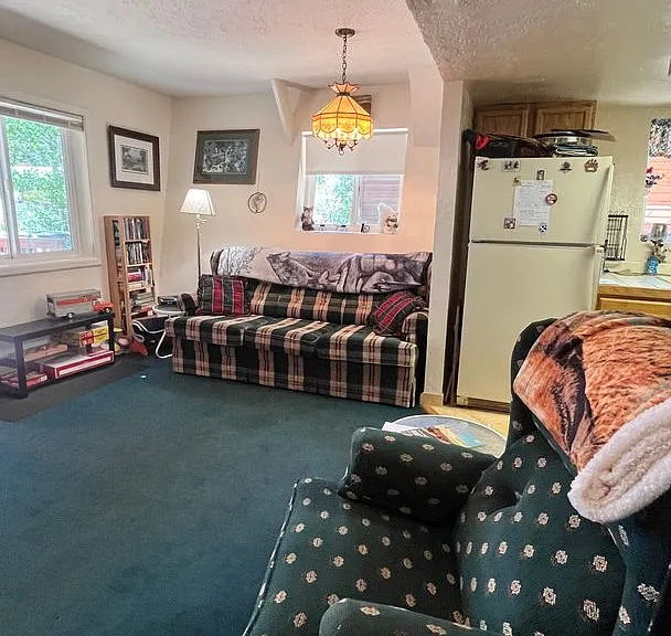 10117 Washoe Rd — Photo 3