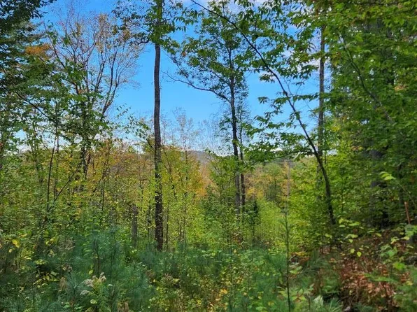 Bagley Hill Road #66, Warner, NH 03278