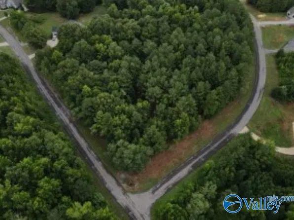 2485 Lookout Mountain Dr, Scottsboro, AL 35769