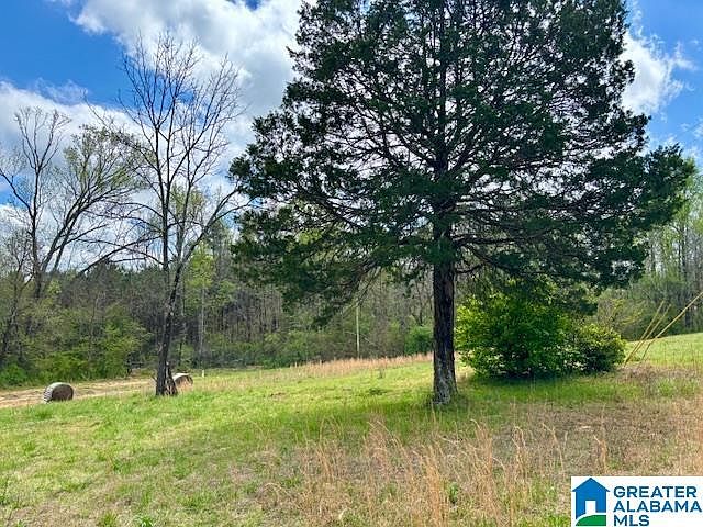 2nd image of 931 County Road 831
