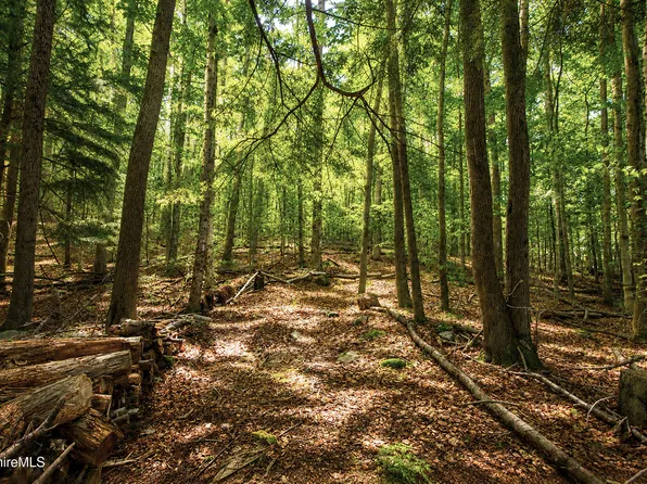 Forest Hill Dr, Hinsdale, MA 01235