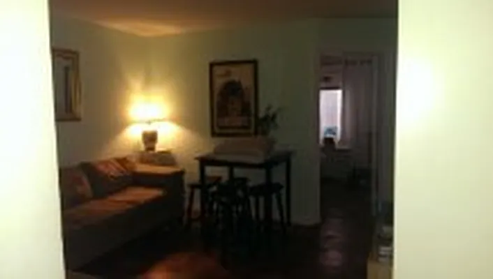 Rented by Manhattan Apartment Organization | media 30
