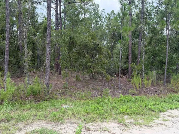 00 SW 131 AVENUE, OCALA, FL 34481