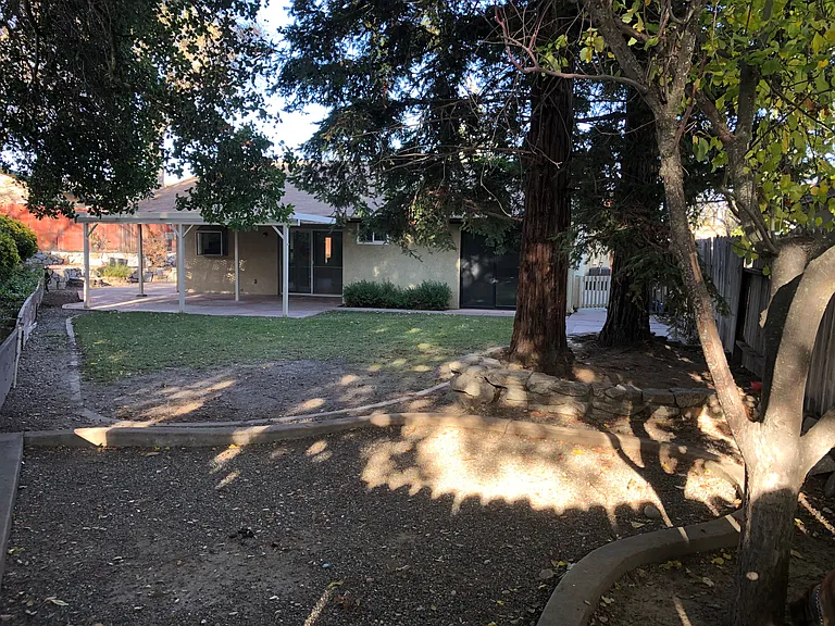 Beautiful, quiet back yard with Redwoods inviting you to relax and enjoy this very special place.