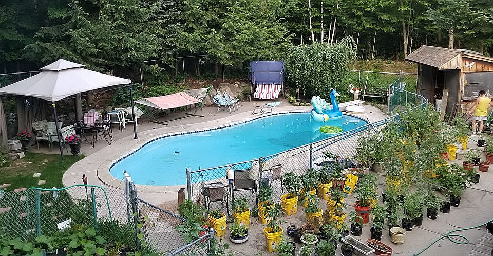 Back yard