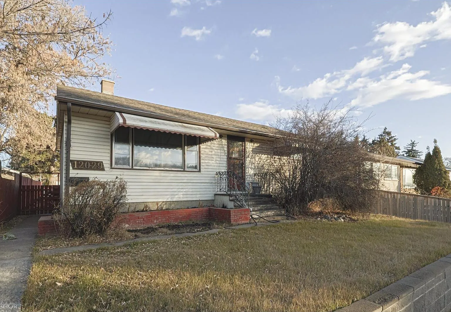 1 bed, $1,100 — Photo 1