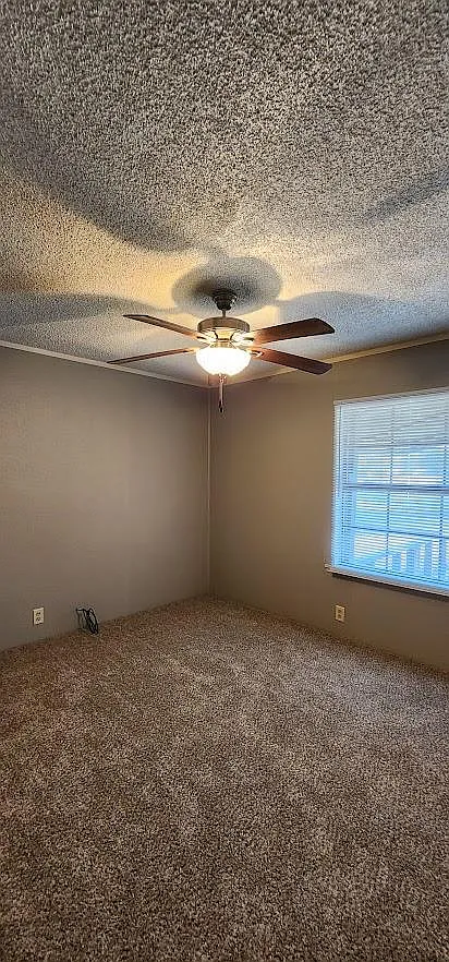 3 bed, 1300 sqft, $1,200 — Photo 4