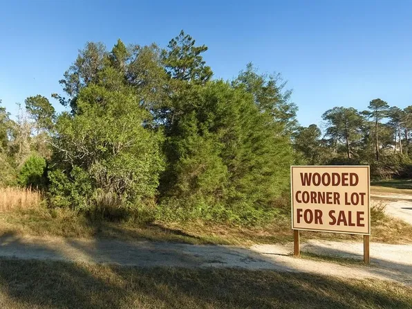 0 NE 235th Pl #1, Fort Mc Coy, FL 32134