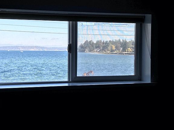 Bedroom window