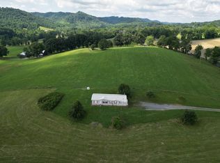 31196 Old Saltworks Rd, Meadowview, VA 24361