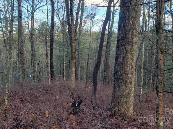 Tbd Cedar Ln, Brevard, NC 28712