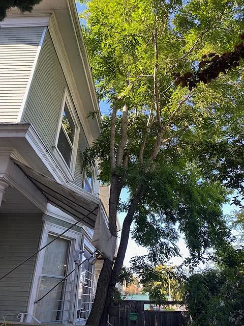 3010 Martin Luther King Jr Way — Photo 3