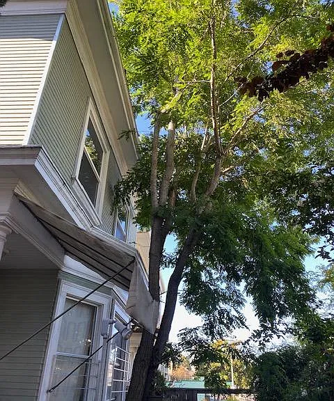 3010 Martin Luther King Jr Way — Photo 3
