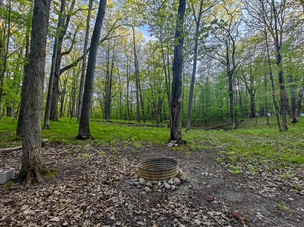 5899 Elm Run, Farwell, MI 48622