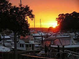 1st image of 9 Harbourside Ln #7336C