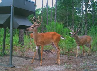 1038 McRae Milan Rd, Milan, GA 31060