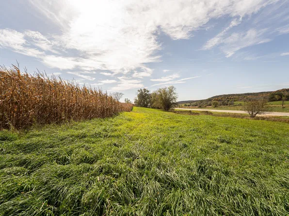 34.06 Acres Hwy #131, Wilton, WI 54670