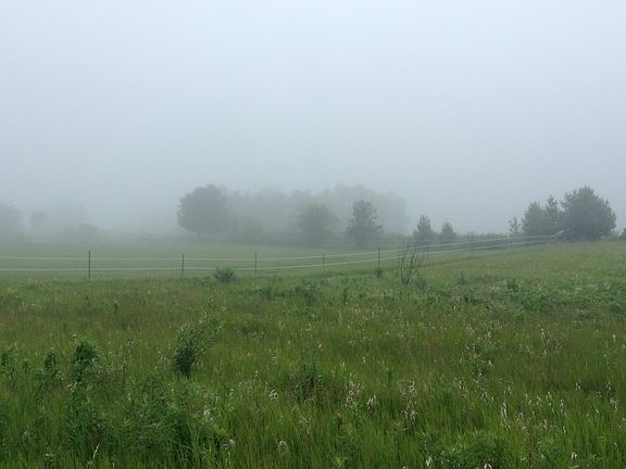 West field w/morning blanket