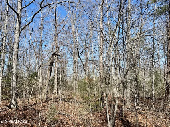 44 Rusham Cir Lot 32, Crossville, TN 38558