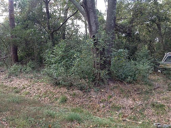 3rd image of 12506 Park Forest Dr