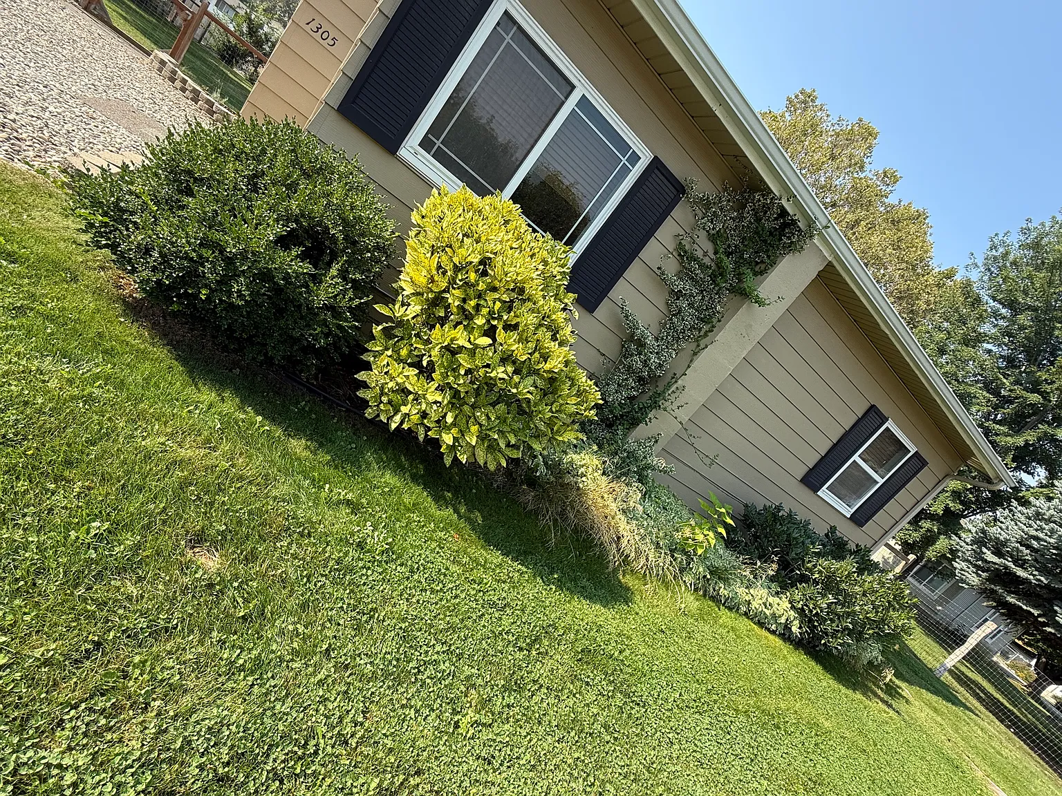 2 bed, 812 sqft, $1,425 — Photo 3