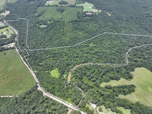 Dollar Rd Lot Wp001, Angie, LA 70426