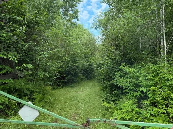 0 County Road 56, Nashwauk, MN 55769