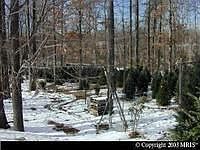 1st image of 5640 Ox Rd