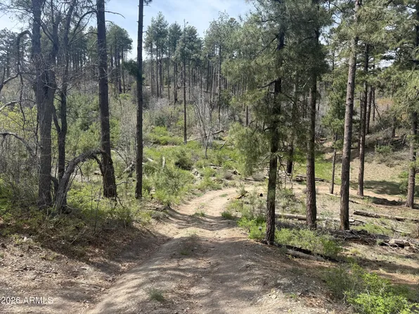 00 E WILD FLOWER Road #-, Crown King, AZ 86343