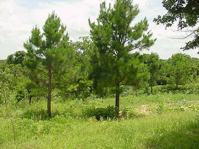 2nd image of 15400 Choctaw Hills Rd Lot 6 & 7