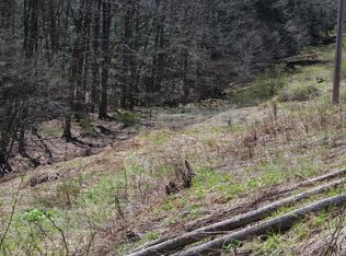 Tennanah Lake Rd, Roscoe, NY 12776