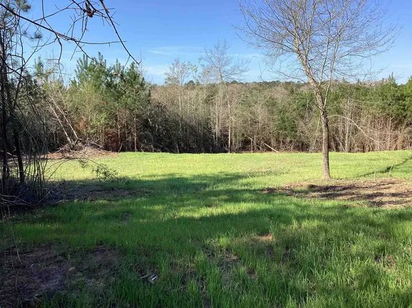 86 Carlisle Rd, Andalusia, AL 36421