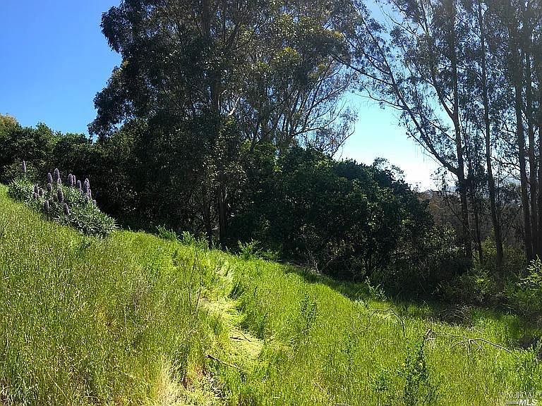 1st image of 602 Shoreline Hwy