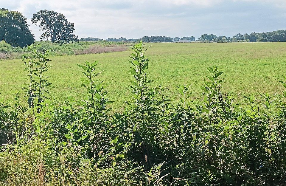 2nd image of 387 County Road 616