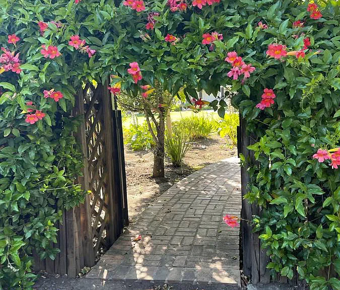 Palmer Ln — Photo 8