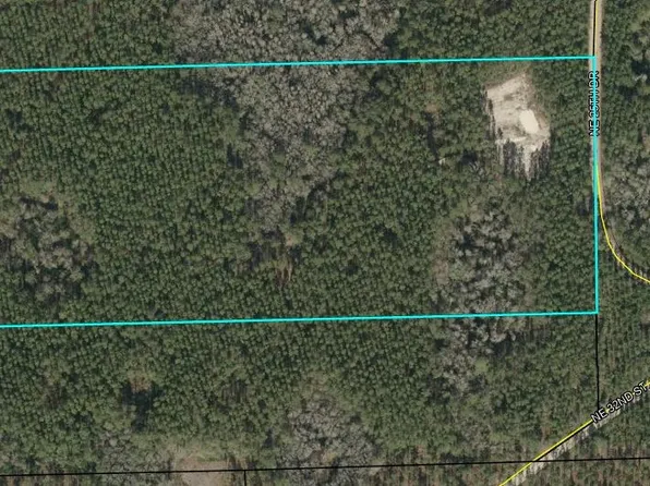25th Dr NE, Jasper, FL 32052