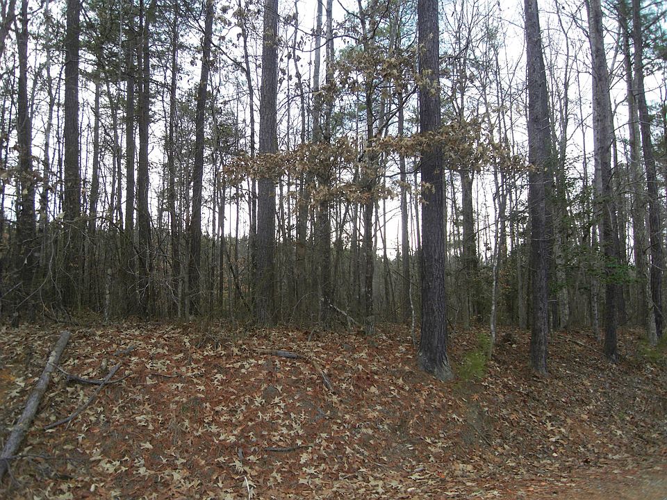 2nd image of 157 John Paul Jones Dr