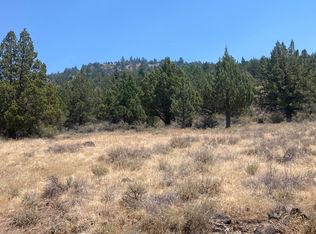 73 Prouty Way, Adin, CA 96006