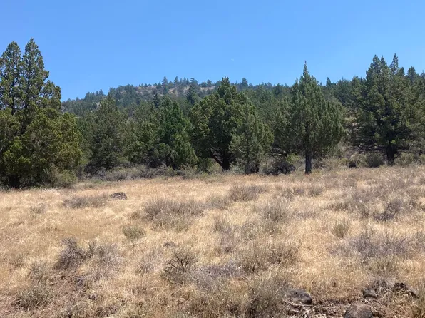 73 Prouty Way, Adin, CA 96006