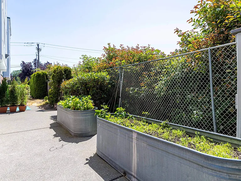 Webster Court Senior Apartments — Photo 21