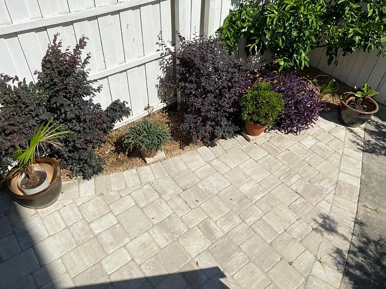 414 E Park Ave #D — Photo 20