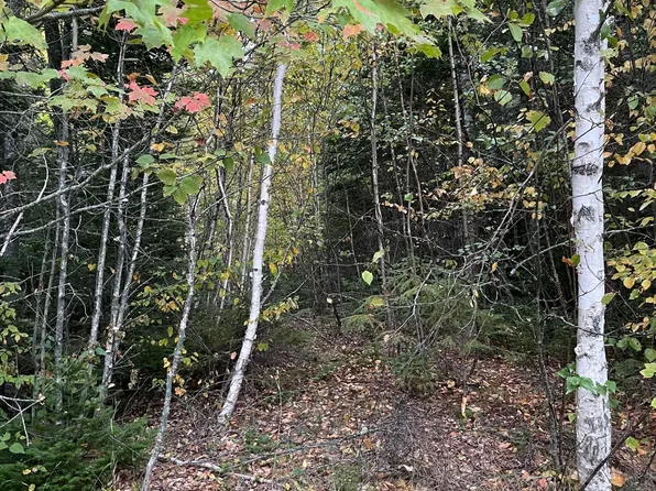 M1978L91G Airline Rd, Crawford, ME 04694