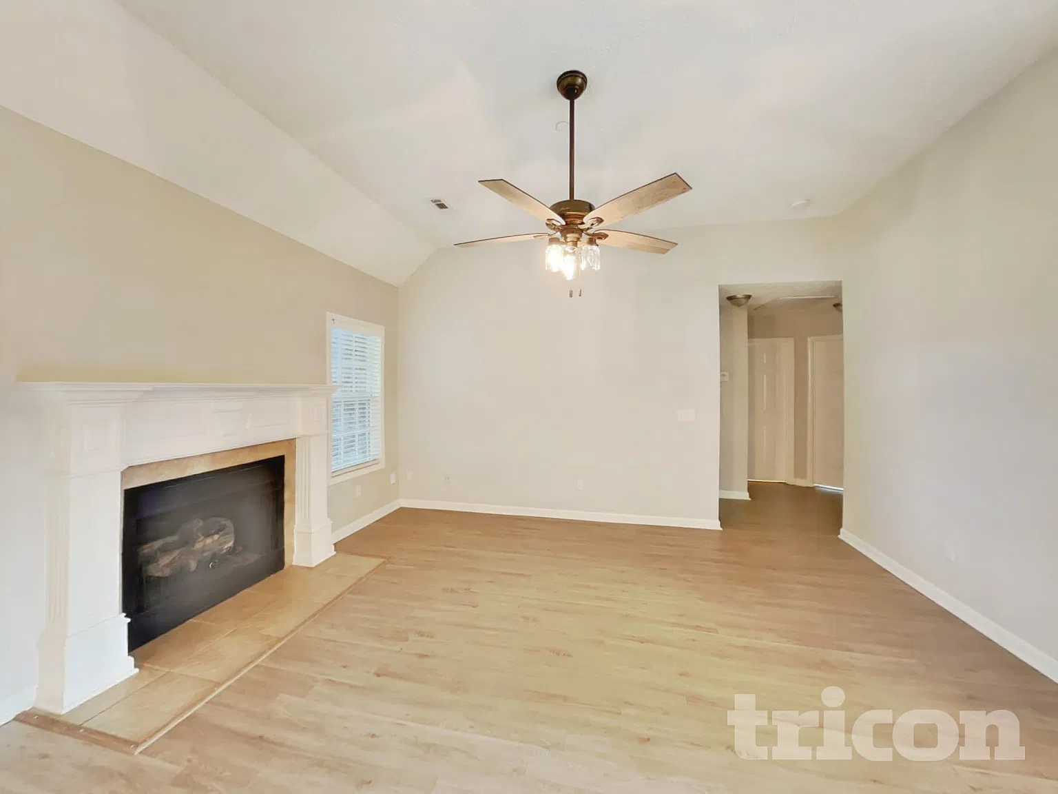 1006 Cascade Falls Drive Murfreesboro TN — Photo 4