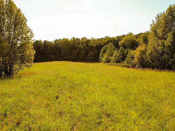 0 Dunlap Orphanage Rd, Brighton, TN 38011