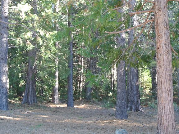 4th image of 43 Foresthill Rd