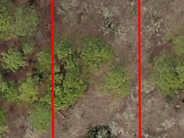 LOT 57 NW Skylark St Lot 57, Dunnellon, FL 34431