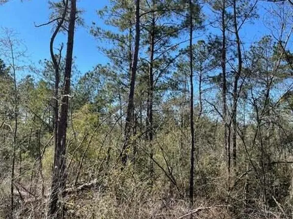 0 Brent Knight Rd, Collins, MS 39428